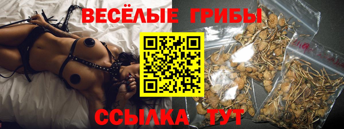 Псилоцибиновые грибы GOLDEN TEACHER  Вход с VPN  Карачаевск 